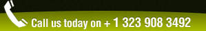 For Custom iPhone Applications Development - Call Us